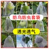Saco de rede especial respirável à prova de pássaros e insetos para ensacar frutas, saco de proteção para uva, figo, nêspera, morango, carambola