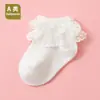 Calcetines para Niños Primavera y Otoño Estilo Nuevo Calcetines de Encaje de Algodón Peinado Versátiles para Niñas Transpirables Absorbentes de Sudor de Media Pantorrilla para Uso en Exteriores