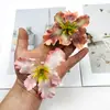 Flores Artificiais Pequenas de Íris Alice Flor de Cabelo DIY Adorno de Cabeça Materiais para Arranjo de Flores Acessórios Enfeites de Guirlanda para Casa