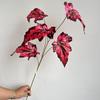 5 Folhas de Begônia Folhas de Chuva de Primavera Flores Artificiais de Casamento Fotografia Planta de Casa Decoração Floral Mori Vestido Suave Simulação Plantas Verdes