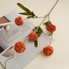 Accesorios de fotografía individual de simulación que contienen Yang, simulación de boda de otoño, ping-pong, crisantemo, flor artificial al por mayor, simulación de 5 dientes de león