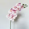 Película 9 cabezas Phalaenopsis Flor de Simulación Orquídea Ramo Falso Decoración de Hogar Hotel Boda de Alta Gama Accesorios de Fotografía