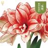 Dropshipping Bola de Cera de Amarilis Cera para Sellar Amarilis de Doble Pétalo Bulbo Planta en Maceta Floreciente Extra Grande Interior Balcón Persona Perezosa