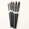 Set de pintura transfronterizo de 6 piezas, bolígrafos acuarela de punta de nylon de madera, set de pinceles para pintura al óleo de arte para estudiantes