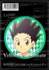 Insignia de Cazador de Tiempo Completo hunterxhunter Chiji Fly Tanni Fly Bit Sisso Animación Barón C