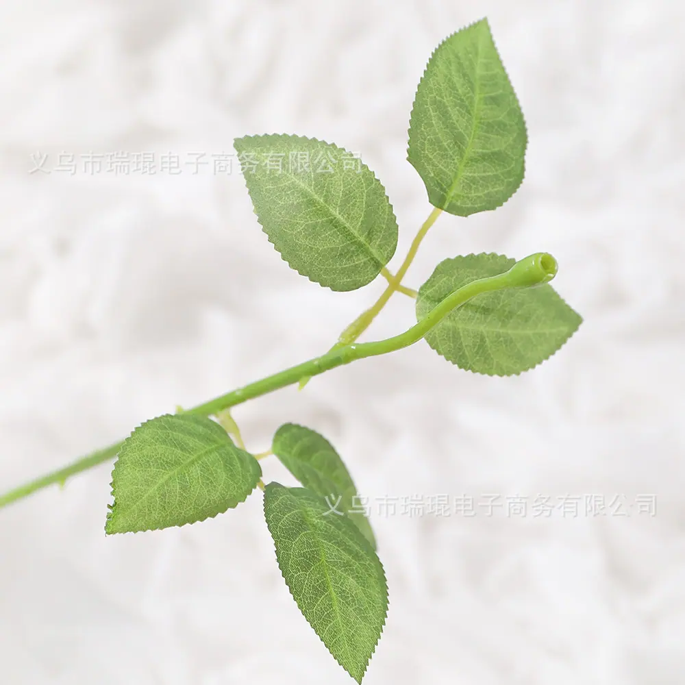 细节01.jpg