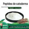 Peptídeo de Cistanche Deserticola, Pó de Extrato de Cistanche Deserticola, Matéria-Prima de Grau Alimentício, Pó Solúvel em Água, Alimento e Medicamento da Mesma Origem, em Estoque com Frete Grátis