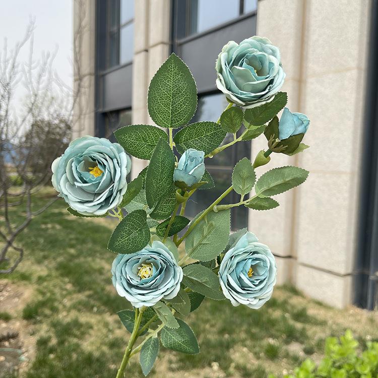 6头花蕊小玫瑰-sxlzjx-秋迪兰.JPG