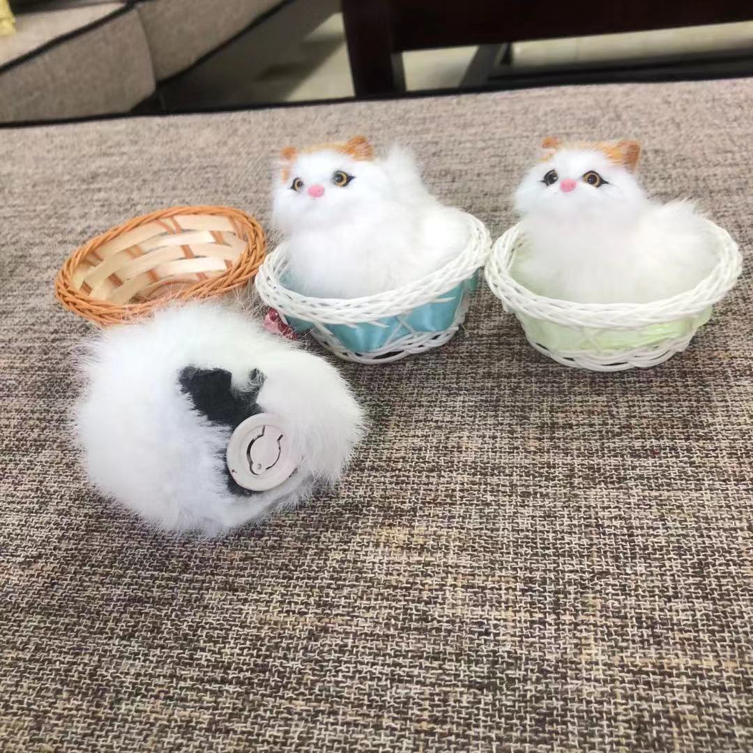 小圆框兔子和猫，和叫猫