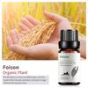 Exportación Transfronteriza Aceite Esencial Individual Fragancia Aromaterapia Masaje Aceite Esencial Sándalo Difusor Mayoreo Muestra de 10 ml