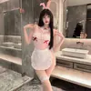 Conjunto de Lingerie Coelho Doce com Aro e Design Transparente para Mulheres, Uniforme Sexy Revelador Vestido Rosa F201