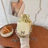 Bolsas de Mão Mini Tendência para o Verão 2026 Nova Moda Versátil Bolsa Transversal com Corrente Bolsa de Caixa Saco Balde
