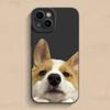 Capa de celular Apple 14 Big Face Corgi iPhone13 Cute Cartoon 16promax Angel Eyes 11 All-inclusive resistente a quedas