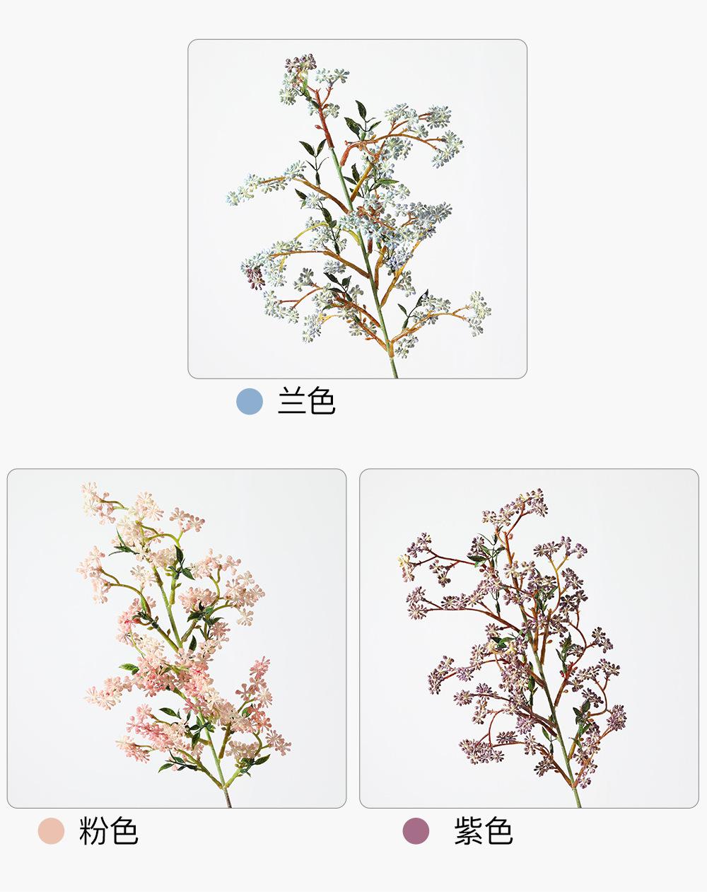 小单支燕麦果详情图