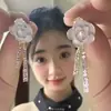 Lindos Brincos ~ Estilo Étnico Brincos com Franjas de Cristal Exóticos Longos Retrô de Alta Qualidade Atacado