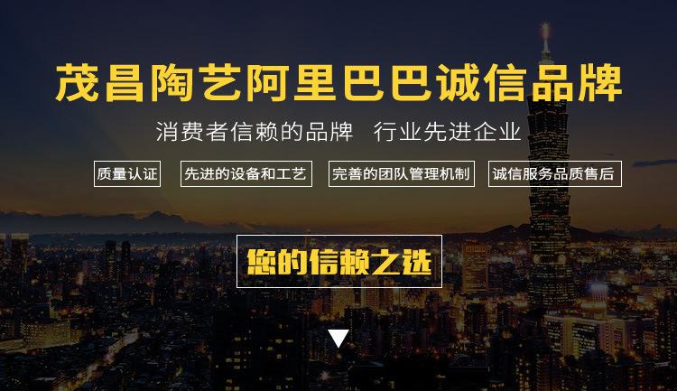 8777696350_819902407