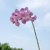 Orquídea Phalaenopsis de 5 Flores Impresa en 3D, Flor Artificial de EVA, Orquídea Falsa para Decoración del Hogar, Decoración Suave, Fotografía de Bodas y Flores Decorativas