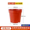 Base de Vaso de Flores de Plástico Rede de Plantio Copo Inferior Copo de Rede Respirável com Borda e Aro Vaso de Viveiro Suculenta Planta Verde Vaso de Flores