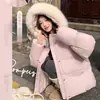 Chamarra acolchada de algodón con capucha y cuello grande de pelo, nuevo estilo de invierno para mujeres petite, chaqueta acolchada dulce y cálida, prenda de abrigo engrosada