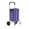 Fabricante de carritos de compras transfronterizos: Carrito de compras ligero para uso doméstico, carrito de compras portátil para personas mayores, carrito para entrega en supermercado y transporte de paquetes