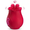 Vibrador de Lamer la Lengua Romeo Mengqi, Doble Lengua 10 Frecuencias de Vibración, Masajeador de Clítoris y Pezones Femeninos Productos de Masturbación al por Mayor