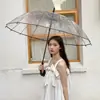 Estilo Japonês Pequeno Fresco 16 Varetas Cabo Longo Branco Celebridade da Internet Guarda-chuva Transparente Espessado Alargado Resistente ao Vento Simples Moda Guarda-chuva
