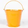 Vaso de Flor de Suculenta de Metal, Balde de Flor, Balde de Brinquedo, Balde de Praia, Balde de Água Pintado, Balde Pequeno de Metal Versátil na Cor de Doce com Frete Grátis