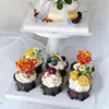 Forno de assar forma de papel para bolo 30 cartola Chapéu de palha Cup Filme de renda Cup Forma para muffin branco Marrom