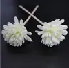 Flor de Crisantemo de Espuma de PE Expansible Fragancia Flor Aromaterapia sin Fuego Accesorios Flor Flor Flor Flor Perfume Flor Aromaterapia Arreglo floral
