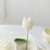 Flor de Tulipan Terminada Transfronteriza Flor Tejida a Mano Flor de Lana al por Mayor Ramo de Flores Regalo Creativo Regalo del Día de la Madre