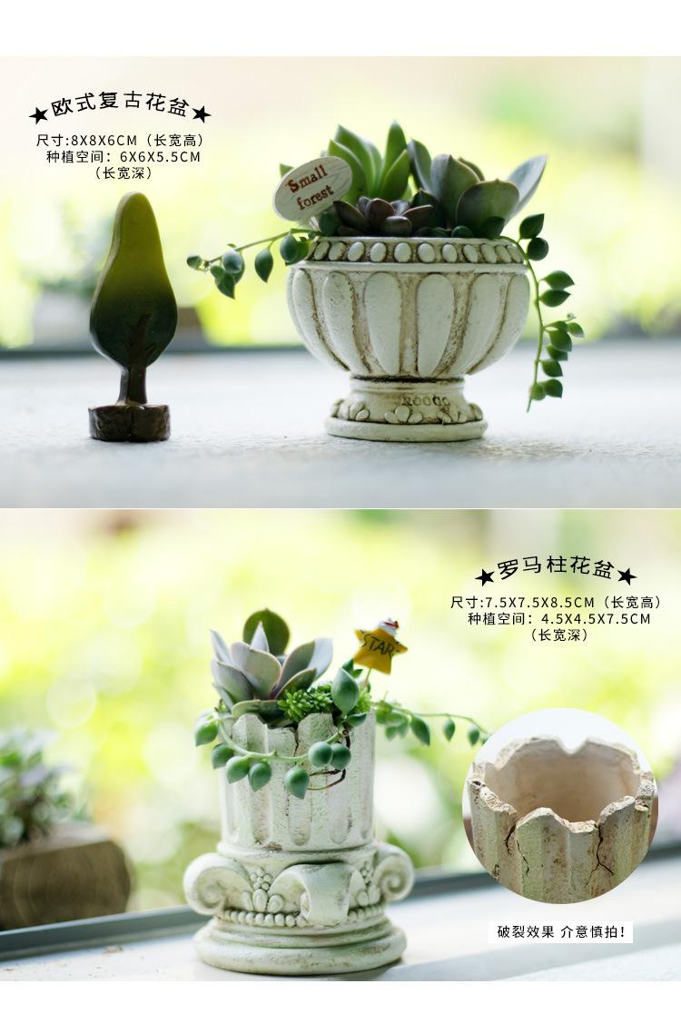 多肉花盆小号_04