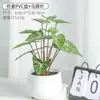 Plantas Simuladas em Vasos Pequenos Enfeites Decorativos para Sala de Estar, Estação de Trabalho de Escritório Interno Bonsai de Mesa, Flores Artificiais e Plantas Verdes