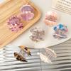 Aitong Joyería Corea del Sur Temperamento Conjunto de Conchas Perla Ácido Acético Pinza Pequeña Pinza para Flequillo Pinza para Recoger el Cabello a Mitad Recoger Accesorios para el Cabello Versátiles