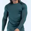 Camisa base masculina para esportes, corrida, treino, basquete, de manga longa, justa, transfronteiriça, secagem rápida, respirável, vestuário fitness masculino