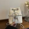 Bolso de Cadena para Mujer, Nuevo Modelo Primavera 2026, Diseño de Nicho, Bolso de Hombro Único Cruzado, Bolso Cubo de Moda Este Año