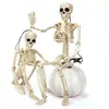 Transfronteiriço Novo Produto Amazon Esqueleto de Halloween 40CM90CM Corpo Humano Simulado Esqueleto de Plástico Decoração Festival Fantasma