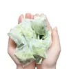 Bolsita perfumada para ropa con hoja de pomelo, repelente de insectos y a prueba de polillas, bolsita con aroma a pomelo, resistente al moho, naftalina, desodorante para ropa, bolsita a prueba de humedad