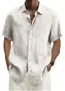 2025 estación independiente deseo Amazon explosiones verano cuello en V botón algodón lino color liso hombres camisa de moda camisa hombres