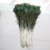 Suministro directo de fábrica de plumas de pavo real naturales 70-120 cm arreglo floral sala de estar sitio de servicio diseño de decoración 100 envío