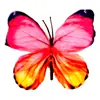 Cabeza de Flor de Mariposa de Goma Suave de Plástico, Decoración del Hogar con Flores Artificiales, Arreglo de Boda, Adornos al por Mayor, Decoración de Mesa para Exteriores