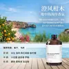 Recarga de Aceite Esencial de Aromaterapia Yulong Tea para Piedras Difusoras, Específicamente para Ambientadores y Difusores de Coche, Proporciona Fragancia Duradera