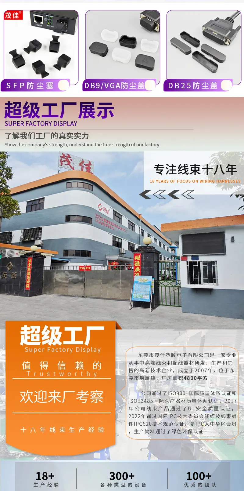 公司详情（中英双版）_02