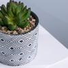 Precio de fábrica se puede personalizar logo maceta maceta planta carnosa gres simple creativo jardinería del hogar escritorio bonsái