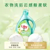 Detergente para Roupas Liby Fragrância Suave de Freesia Detergente para Roupas Desodorizante Fresco Atacado 1kg Engarrafado Doméstico Genuíno