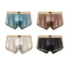 Nueva Malla para Hombre Seda de Hielo Alta Gama Lujo Satín Ropa Interior Transpirable Verano Antibacteriano Boxer Briefs Mayoreo