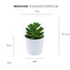 Set de Bonsái de Suculentas de Plástico Mini en Stock, Suculenta Artificial Creativa de Amazon, Flor Artificial Transfronteriza Planta en Maceta Pequeña