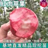 Mudas de Macieira de Polpa Vermelha para Envio Direto, para Plantio em Vasos no Quintal Norte e Sul, Mudas Enxertadas de Frutas Extra-Grandes Anãs