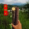Ramas Genuinas de Madera de Durazno Vieja, Materiales Crudos de Madera de Durazno, Palos de Madera de Durazno, Espadas de Madera de Durazno, Horquillas, Colgantes, Adornos para Tallado en Madera DIY