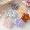 Pinza para el pelo de garra hueca color gel estilo coreano, pinza de tiburón acrílica, pinza para recogido en la parte trasera de la cabeza, accesorio para el pelo semi-recogido