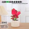 Árbol del Dinero, Rábano Verde en Maceta, Planta Verde Hidropónica Fácil de Cuidar para Sala de Estar Interior, Bonsái Creativo, Flor Atractora de la Fortuna, Planta Pequeña en Maceta